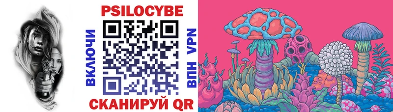 Галлюциногенные грибы GOLDEN TEACHER  купить  цена  Мурманск 